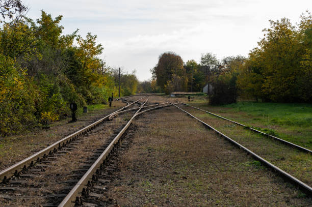 A rural autumn landscape with several railroad tracks running parallel and diverging, surrounded by vibrant foliage. The tranquil scene captures the rustic beauty of the countryside, with tracks leading into the distance amid colorful trees and open grassy areas.