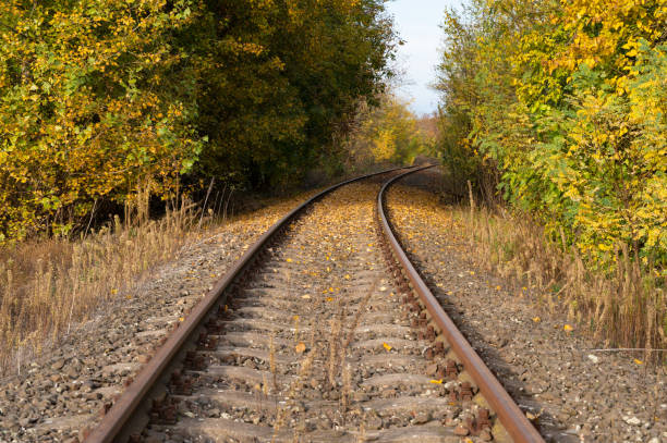 A close-up view of a curving railroad track bordered by dense autumn foliage. The track is covered with fallen leaves, enhancing the seasonal beauty and tranquility of the rural landscape.