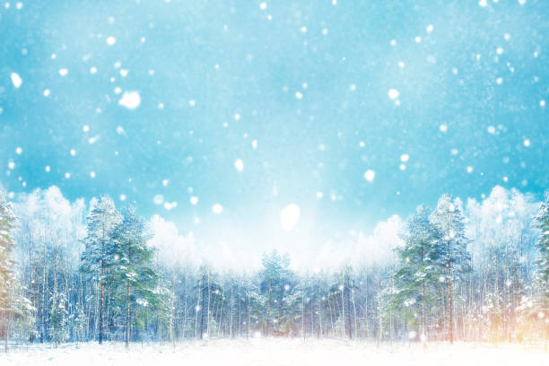 istock Landscape. Frozen winter forest with snow covered trees. 2183524373