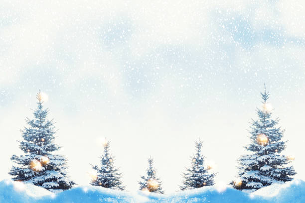 istock Landscape. Frozen winter forest with snow covered trees. 2183524463