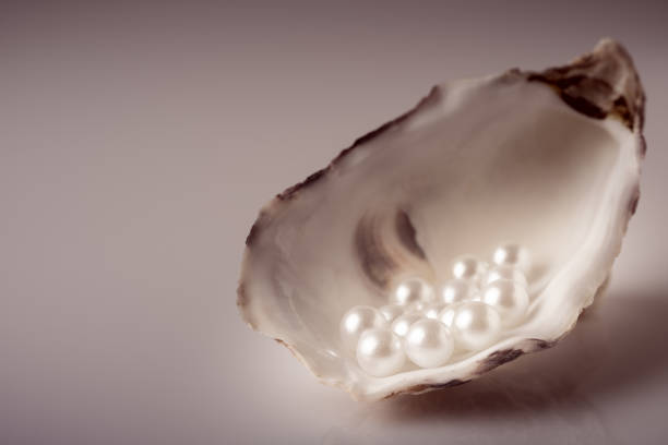 istock Beautiful white pearls on an oyster shell. 2183525715