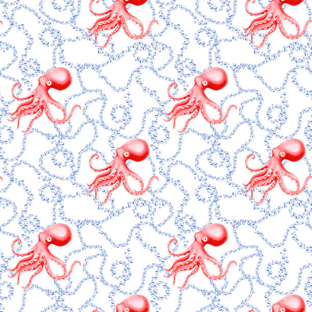 Octopus Change Pattern 70+ Octopus Changing Colour Stock Photos, Pictures & Royalty-Free ...