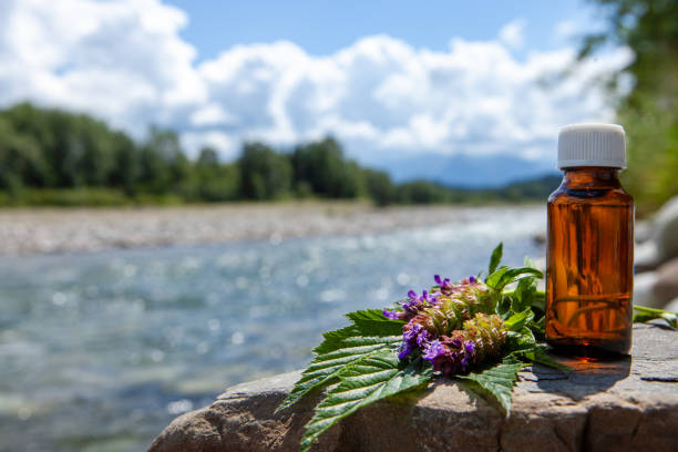 Close up of herbal oil bottle with purple flowers and green leaves by a river on a sunny day