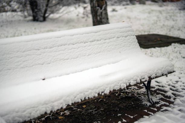 winter scene, a park bench draped in fresh snow invites quiet reflection. The soft white blanket contrasts with the natural surroundings, evoking peace and tranquility