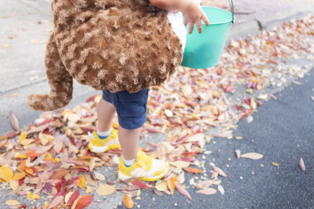 A child, carrying a basket, walks through leaves while trick or treating on Halloween