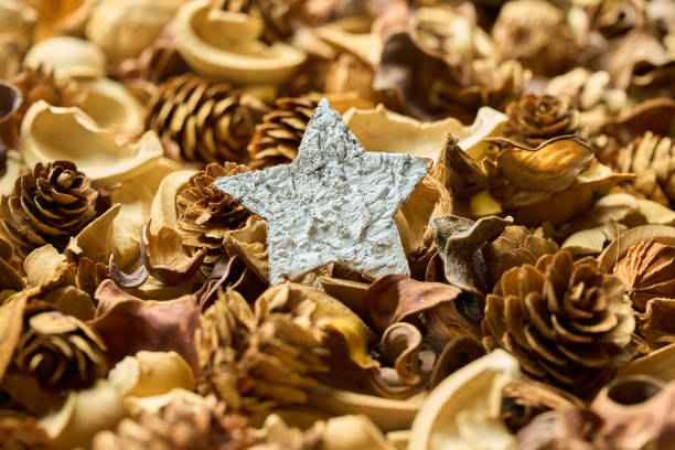 istock Star-shaped decoration amongst fallen leaves 2183536976