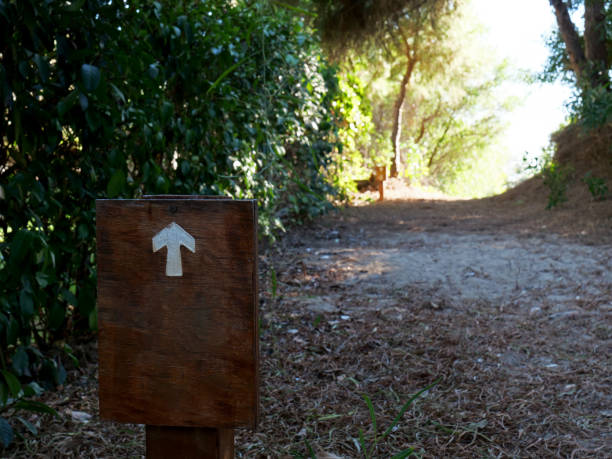 directional sign on hiking path in the forest