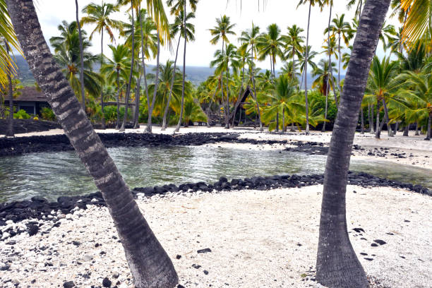 A photos of palms and a cove in Pu'uhonua O Honaunau Historical National Park.