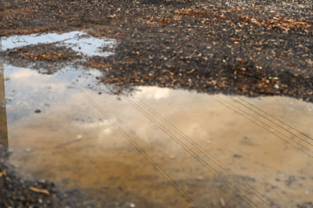 Puddle on muddy ground reflecting power lines and sky, capturing an abstract view of a rural area