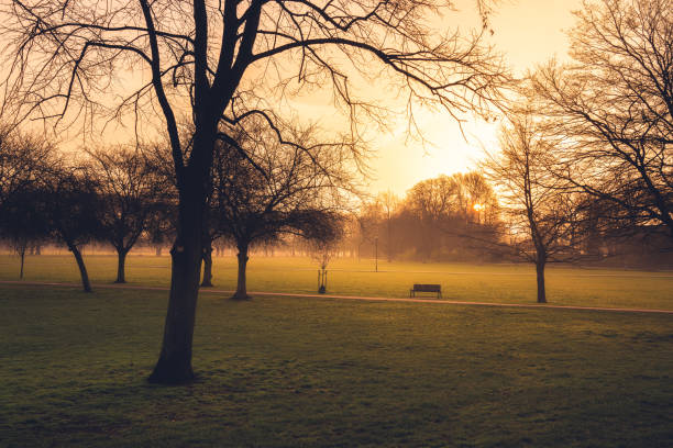 istock The lonely bench in the autumn forest 2183545752