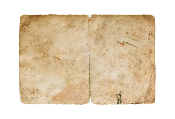 Back of an old photo isolated white