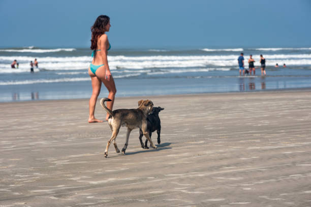 Young woman with her dogs on a beach in Brazil