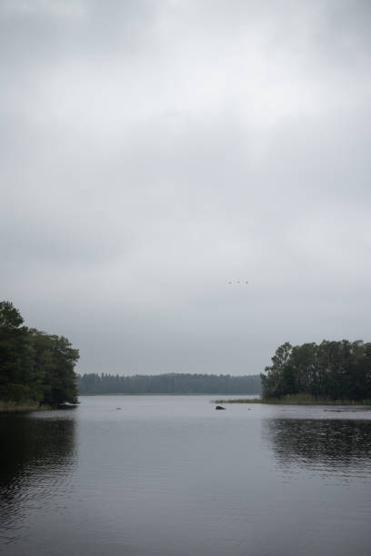 istock Lake view with birds on the sky 2183549248