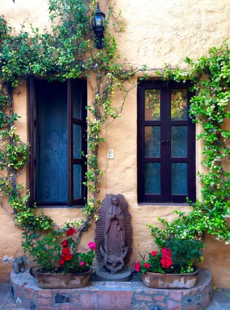 Afternoon in a Mexican garden