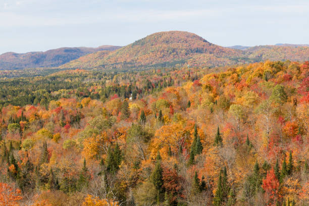 istock Autumn in a forested area of Quebec 2183557155