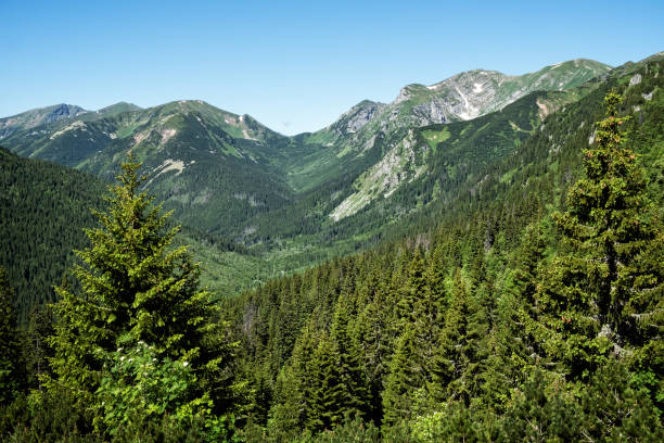 istock Silent valley, High Tatras mountain, Slovakia 2183563357