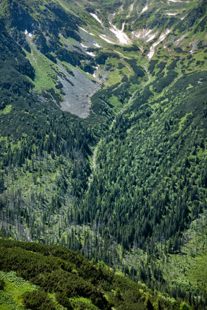 istock Silent valley, High Tatras mountain, Slovakia 2183563362