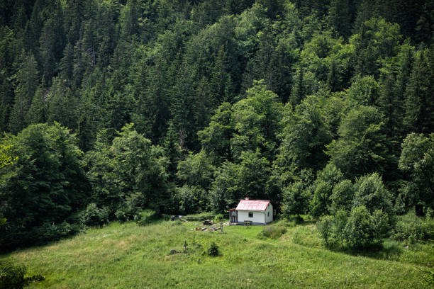 Landscape - Scenery, European Alps, Mountain