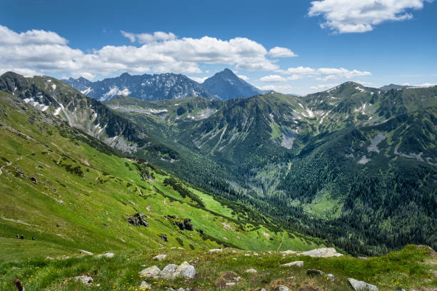 istock Silent valley, High Tatras mountain, Slovakia 2183563400
