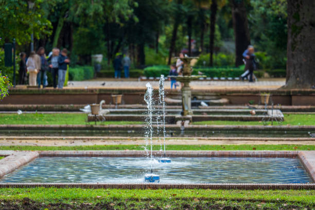 Lotus Pond in Maria Luisa Park in Seville
