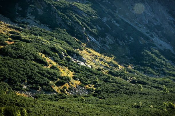 Mengusovska valley scenery, High Tatras mountains, Slovak republic. Hiking theme. Seasonal natural scene.
