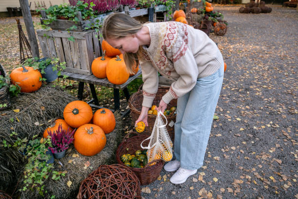 istock woman puts decorative pumpkins in in a mesh bag 2183566800