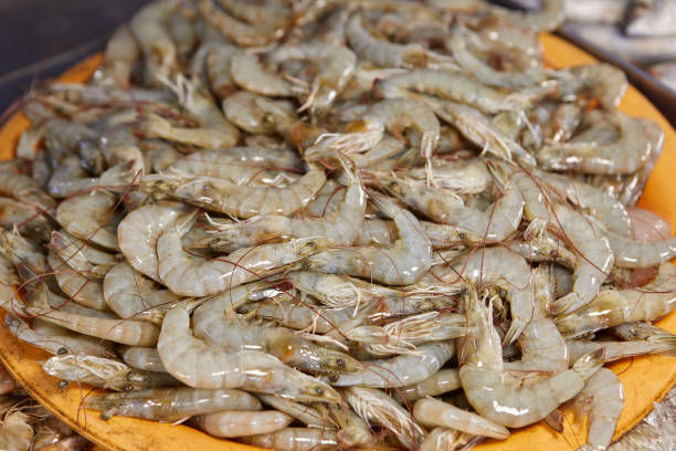 istock Close-up view of fresh shrimp on plate 2183568036
