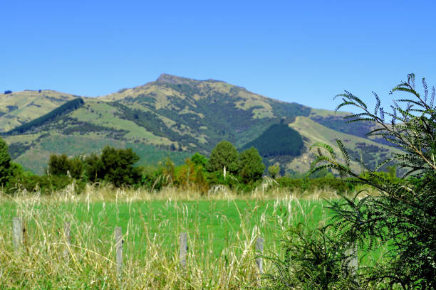 Close by the Okana River and Little River on Banks Peninsula. It is a peninsula of volcanic origin on the east coast of the South Island of New Zealand. It has an area of approximately 1,200 square kilometres and encompasses two large harbours and many smaller bays and coves.