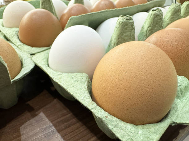 istock Close-up of brown and white eggs 2183578786