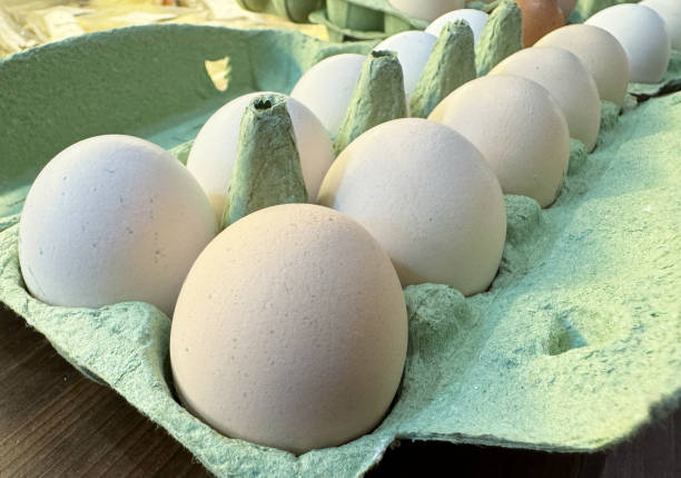 istock Fresh organic eggs in eco-friendly carton 2183578797