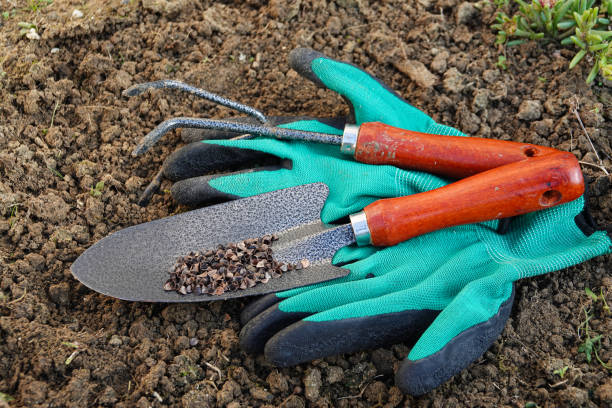 istock Gardening tool for planting plants on soill background 2183579911