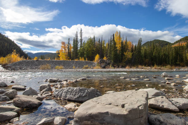 istock River in the mountains with autumn leaves 2183580558