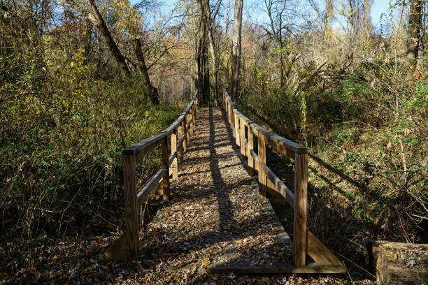istock Woodland foot bridge covered with leaves 2183587536