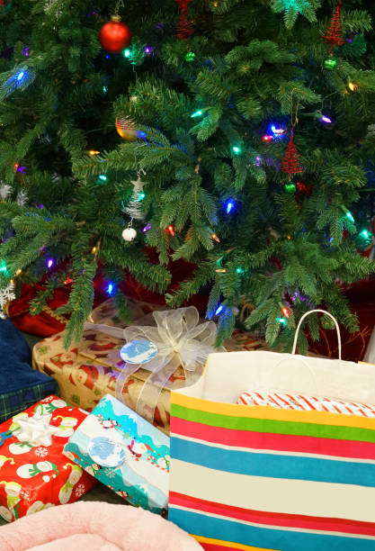 istock Close up on gift bags and boxes under Christmas tree 2183589195