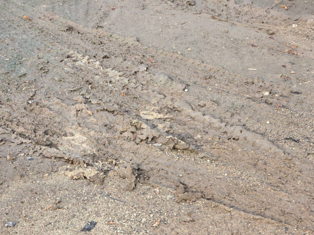 istock wheel track on the ground 2183589971