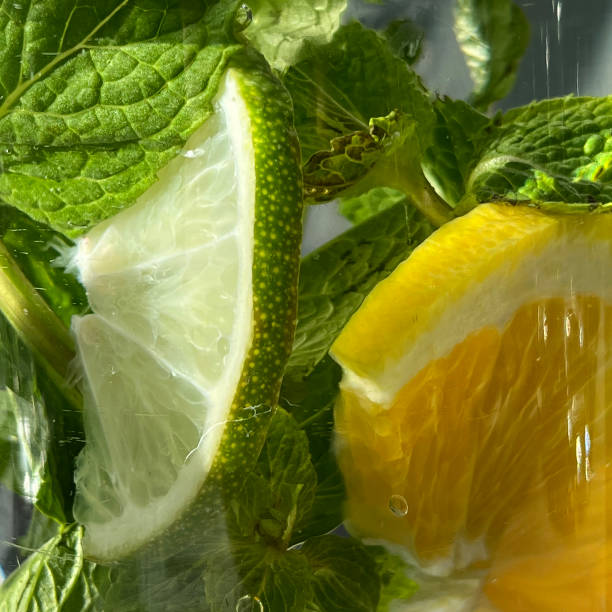 Lemons, limes and basil in a water jar Slices of lemons and limes with basil leaves in a drinking water jar lime basil plant stock pictures, royalty-free photos & images