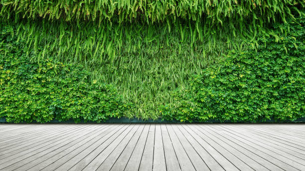 istock mpty boardwalk with green hedge wall texture background 2183593105