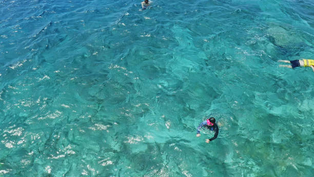 istock Snorkeling,Underwater Statue,Bali, Indonesia.Including islands,Oceans. 2183593641