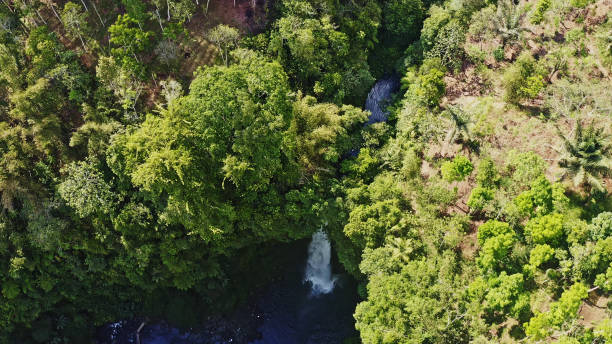 istock The Waterfall in Tropical Rainforests,Bali, Java Island,Indonesia.Including islands. 2183593696