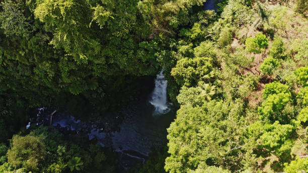 istock The Waterfall in Tropical Rainforests,Bali, Java Island,Indonesia.Including islands. 2183593719