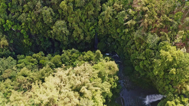 istock The Waterfall in Tropical Rainforests,Bali, Java Island,Indonesia.Including islands. 2183594509