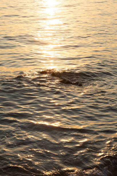 Sunset on the sea with waves and reflection in the water