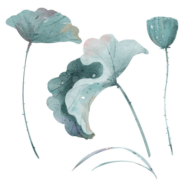 istock Illustration of dark green lotus leaves 2183597420