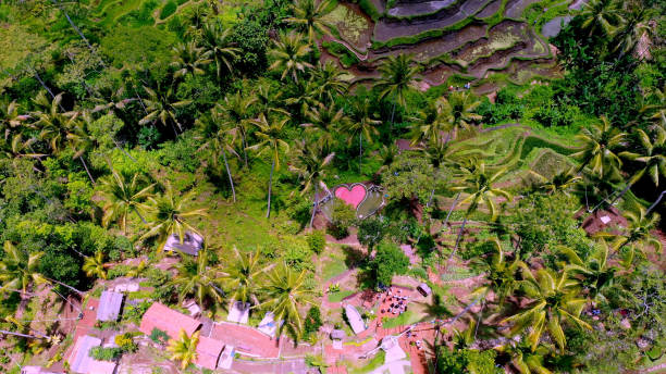 istock Degalalang Terraces,Bali, Indonesia.Including islands.Rice Fields, Field Scenery. 2183598559