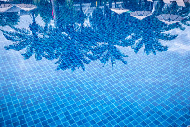 Reflection of palm trees over swimming pool