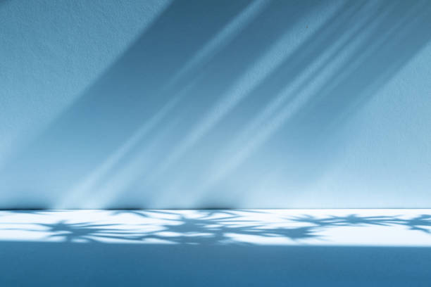 istock Studio style background wall decoration presentation uses white and blue tones. with shadows cast from a nearby window, concept creating a decorative 2183606608