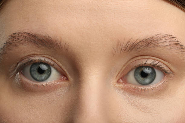 istock Woman with beautiful natural eyelashes, closeup view 2183609575
