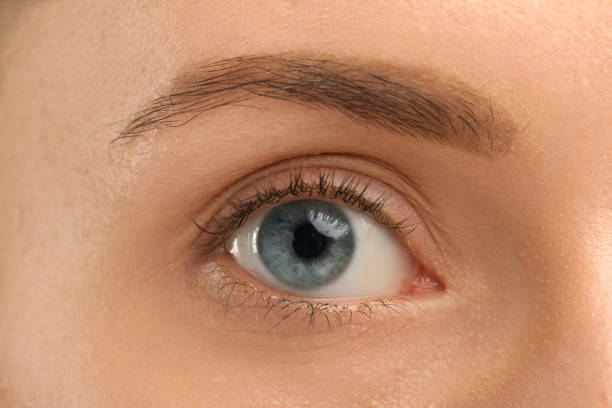istock Woman with beautiful natural eyelashes, closeup view 2183609598