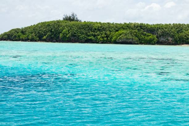 istock Pristine Turquoise Waters and Lush Green Island Under a Cloudy Sky, Guam 2183611477