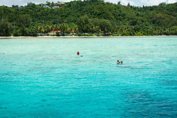 istock Idyllic Beachfront in Guam with Clear Waters and Palm Trees 2183611545
